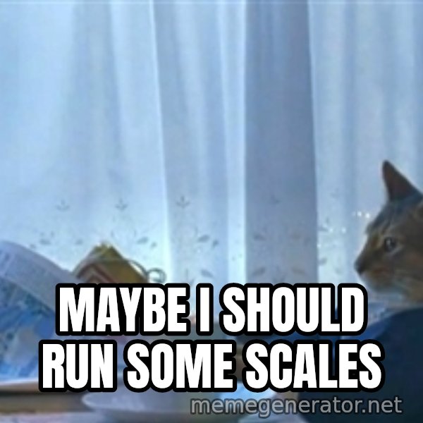 Sophisticated Cat meme: Maybe I should run some scales