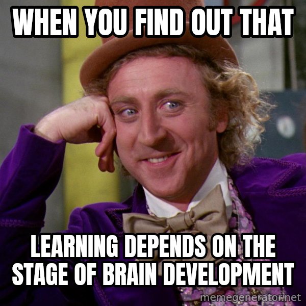 Willy Wonka meme: When you find out that / learning depends on the stage of brain development