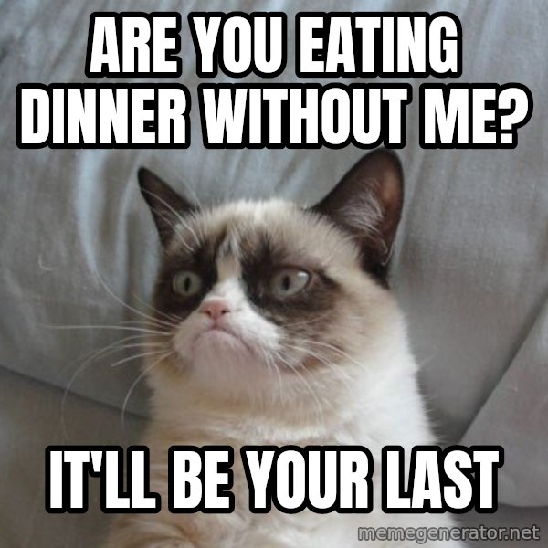 Grumpy cat good meme: are you eating dinner without me? / it'll be your last