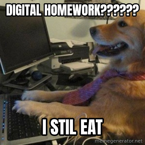 I have no idea what I'm doing - Dog with Tie meme: Digital Homework?????? / I stil eat