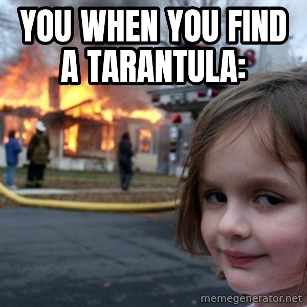 Disaster Girl meme: You when you find a tarantula: