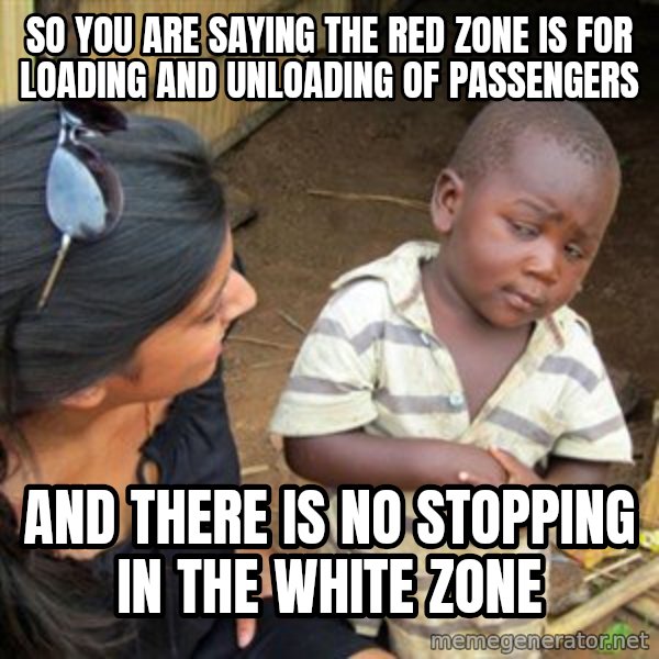 Skeptical 3rd World Kid meme: So you are saying the red zone is for loading and unloading of passengers / And there is no stopping in the white zone