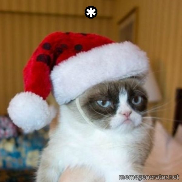 Grumpy Cat Santa Hat meme: *