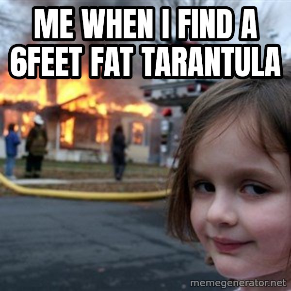 Disaster Girl meme: me when i find a 6feet fat tarantula