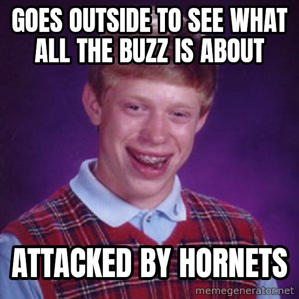 Bad Luck Brian meme: goes outside to see what all the buzz is about / attacked by hornets