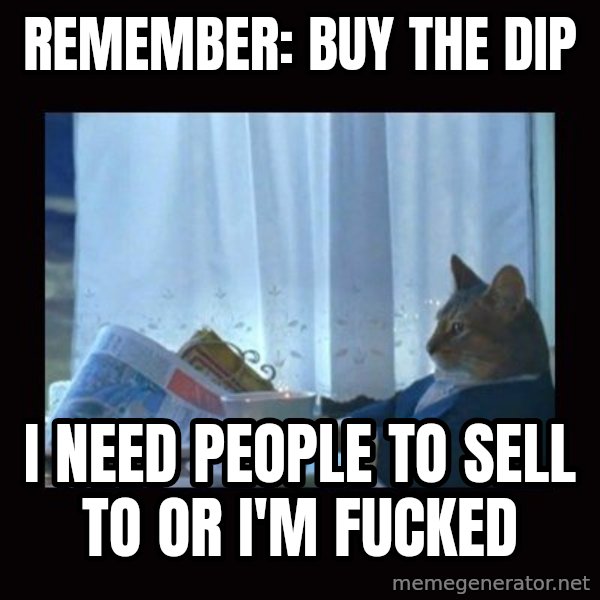 i should buy a boat cat meme: remember: buy the dip / i need people to sell to or i'm fucked