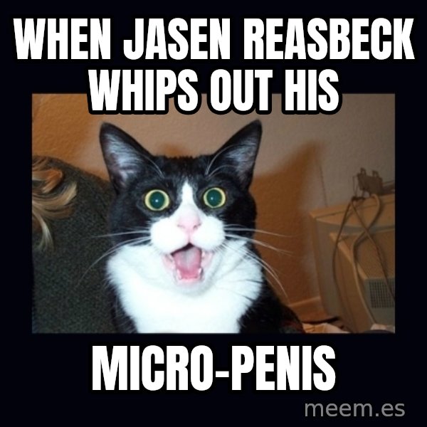 shocked cat meme: When Jasen Reasbeck whips out his / Micro-penis