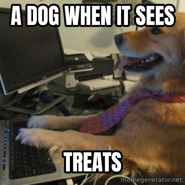 I have no idea what I'm doing - Dog with Tie meme: a dog when it sees / treats