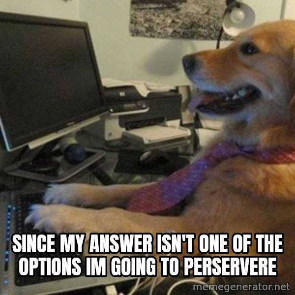 I have no idea what I'm doing - Dog with Tie meme: since my answer isn't one of the options im going to perservere