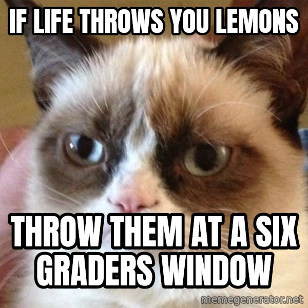 Angry Cat Meme meme: if life throws you lemons / throw them at a six graders window