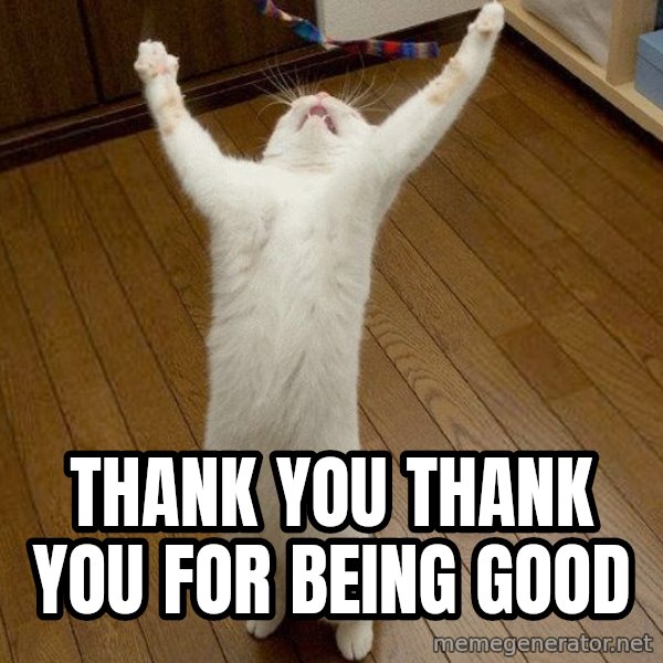 praise the lord cat meme: Thank you Thank you for being good