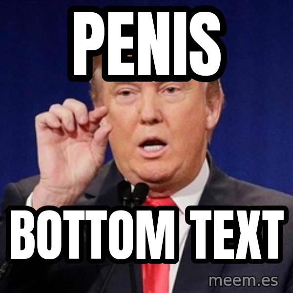 Donald Trump Size meme: penis / bottom text