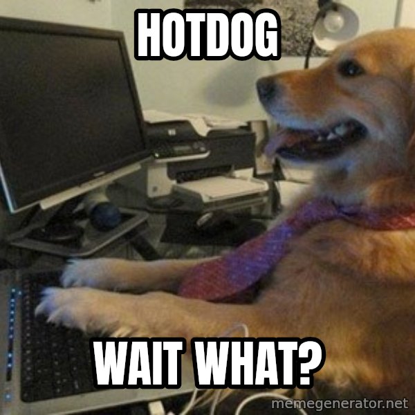 I have no idea what I'm doing - Dog with Tie meme: hotdog / wait what?