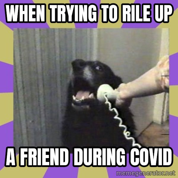 Yes, this is dog! meme: when trying to rile up / a friend during COVID