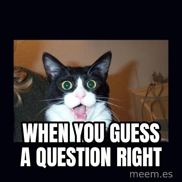 shocked cat meme: When you guess a question right
