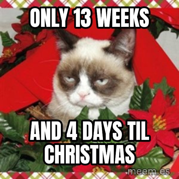 Grumpy Christmas Cat meme: Only 13 weeks / And 4 days til Christmas