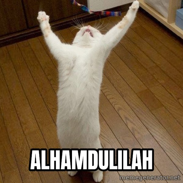 praise the lord cat meme: Alhamdulilah