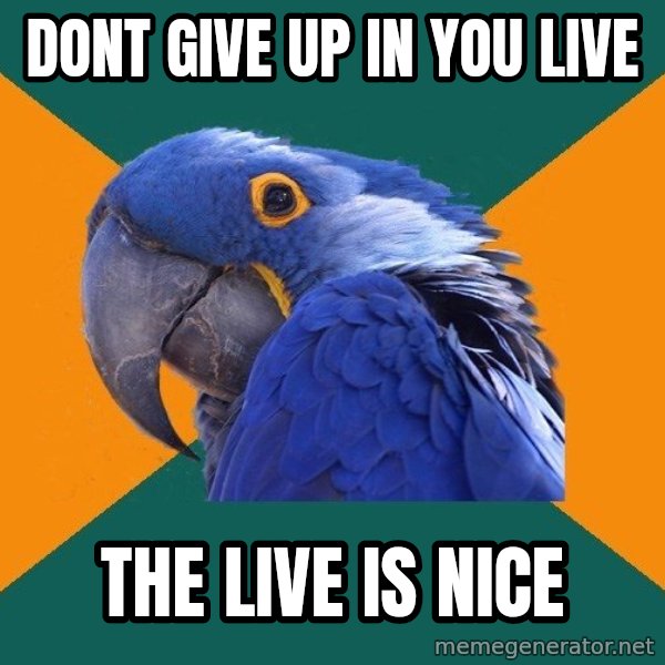 Paranoid Parrot meme: Dont give up in you live / the live is nice
