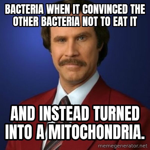 Anchorman Birthday meme: Bacteria when it convinced the other bacteria not to eat it / and instead turned into a mitochondria.