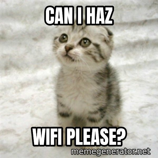 Can haz cat meme: Can I haz / wifi please?