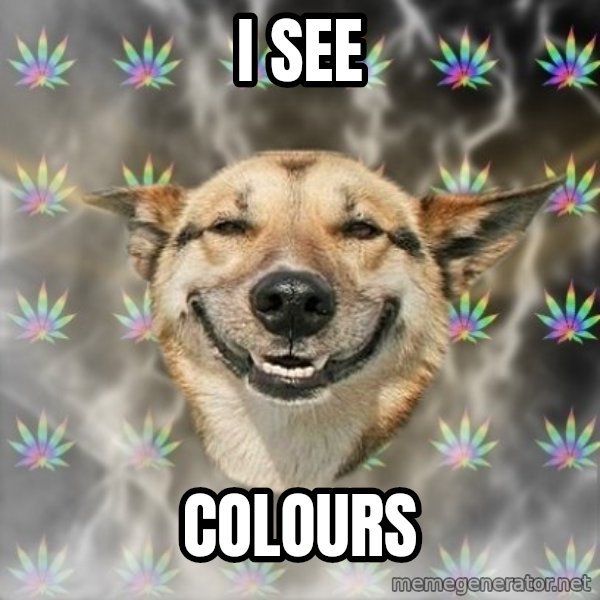 Stoner Dog meme: i see / colours