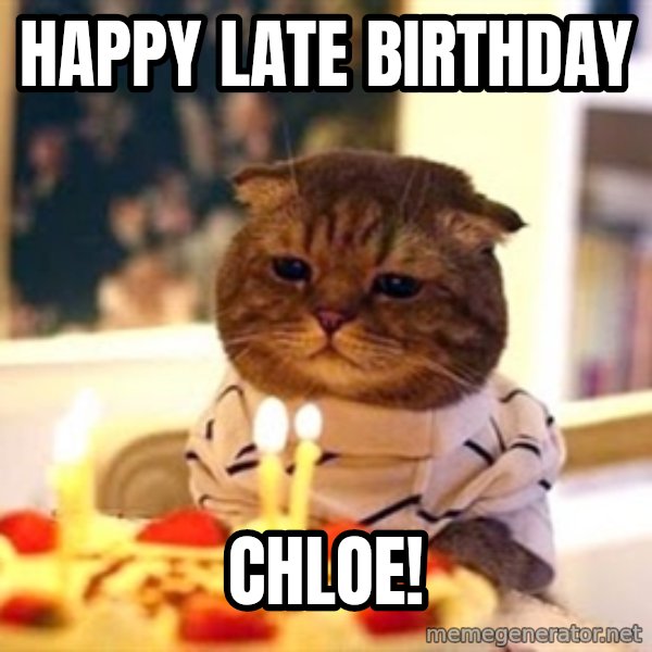 Birthday Cat meme: Happy late birthday / chloe!