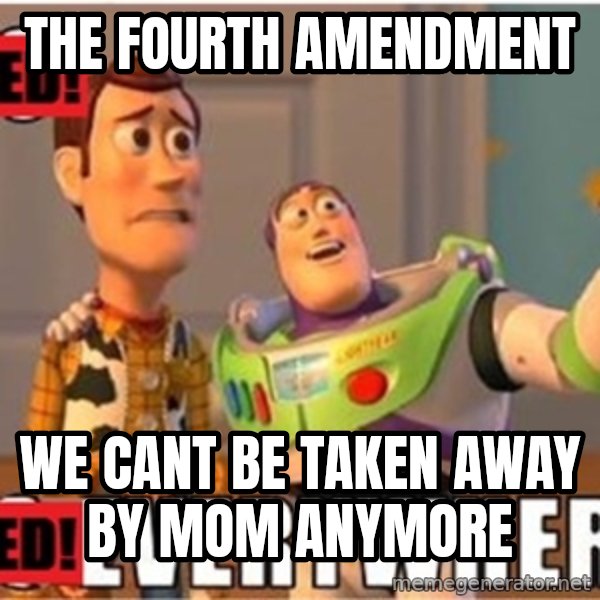 X, X Everywhere  meme: The fourth amendment / We cant be taken away by mom anymore
