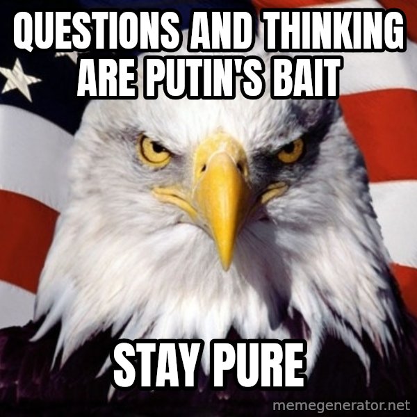 American Pride Eagle meme: questions and thinking are putin's bait / stay pure