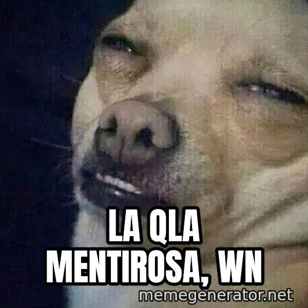 Perro el ql mentiroso meme: LA QLA MENTIROSA, WN