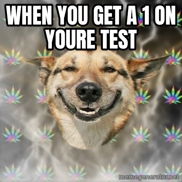 Stoner Dog meme: When you get a 1 on youre test