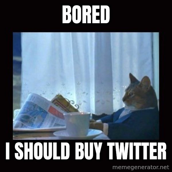 i should buy a boat cat meme: bored / I should buy twitter