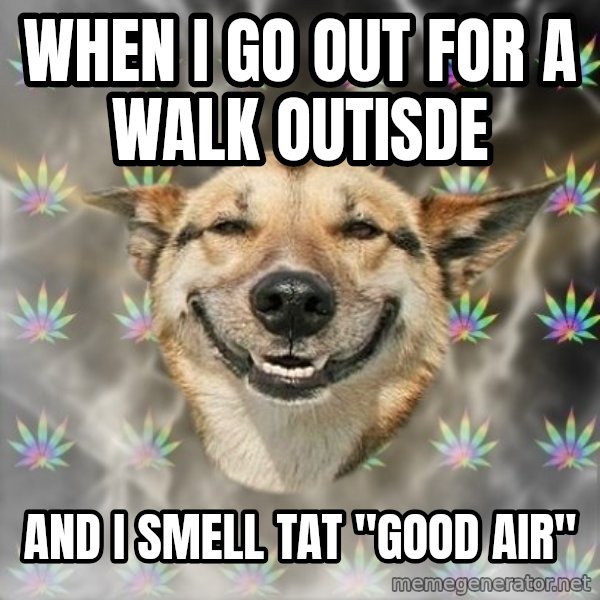 Stoner Dog meme: when i go out for a walk outisde / and i smell tat "Good air"