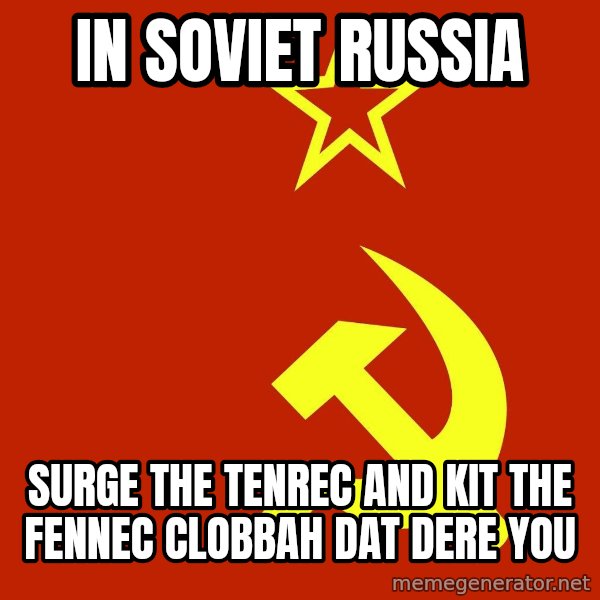 In Soviet Russia meme: In Soviet Russia / Surge the Tenrec and Kit the Fennec clobbah dat dere you