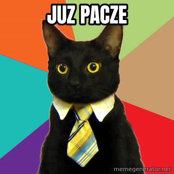 Business Cat meme: juz pacze