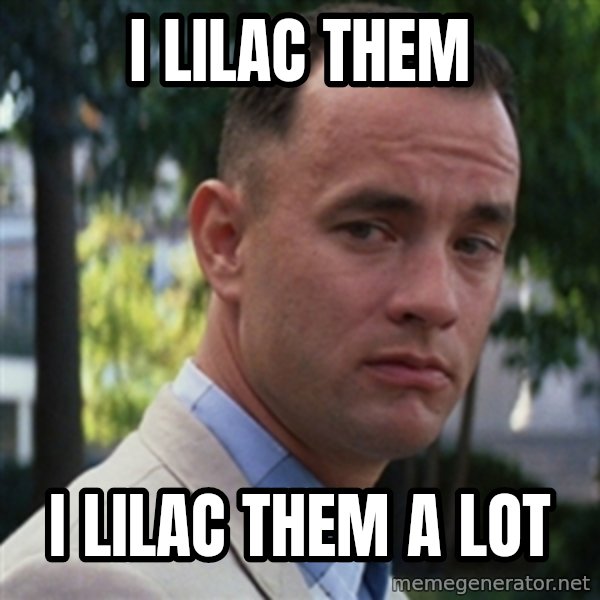 forrest gump meme: I lilac them / I lilac them a lot