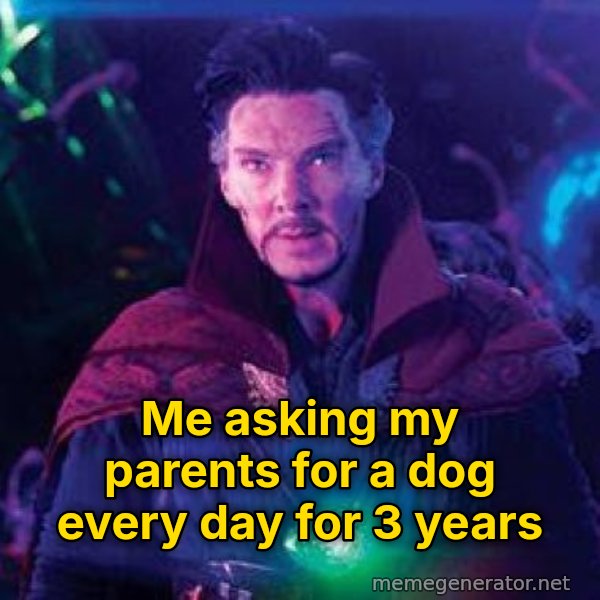 Dormammu, I've Come to Bargain meme: Me asking my parents for a dog every day for 3 years