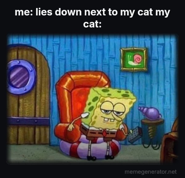 Ight Imma Head Out meme: me: lies down next to my cat
my cat: