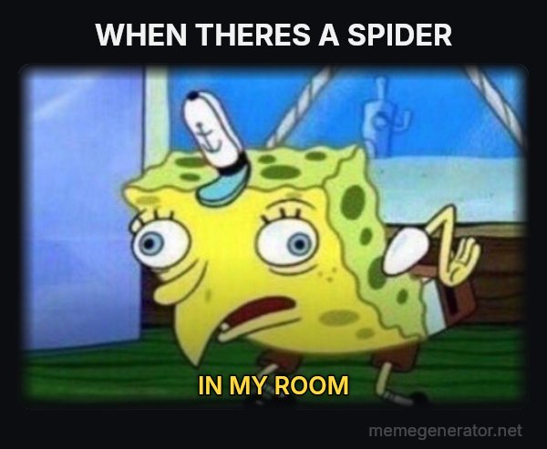 Mocking SpongeBob meme: WHEN THERES A SPIDER / IN MY ROOM