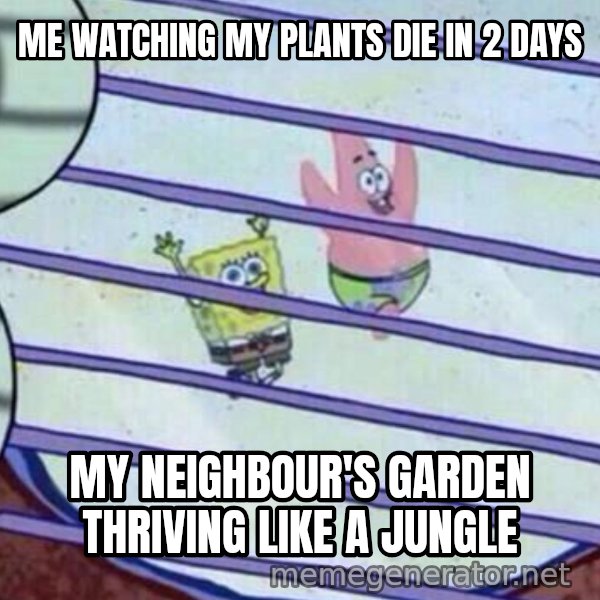 Squidward Looking Out the Window meme: ME WATCHING MY PLANTS DIE IN 2 DAYS / MY NEIGHBOUR'S GARDEN THRIVING LIKE A JUNGLE