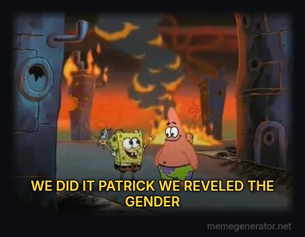 We Did It, Patrick! We Saved the City! meme: WE DID IT PATRICK WE REVELED THE GENDER