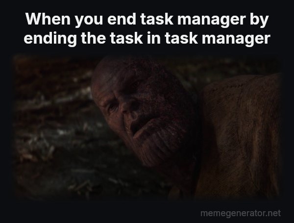 I Used the Stones to Destroy the Stones meme: When you end task manager by ending the task in task manager