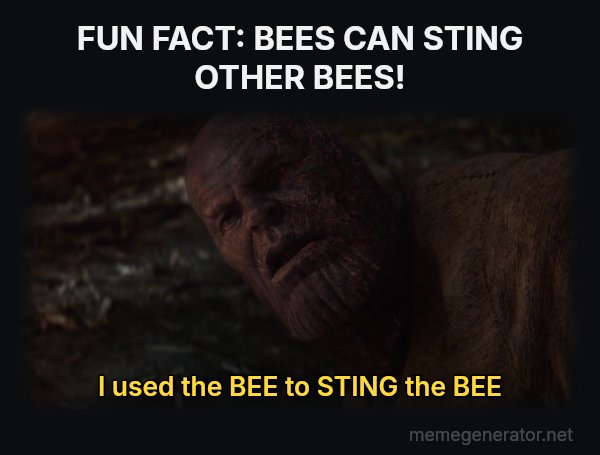 I Used the Stones to Destroy the Stones meme: FUN FACT: BEES CAN STING OTHER BEES! / I used the BEE to STING the BEE