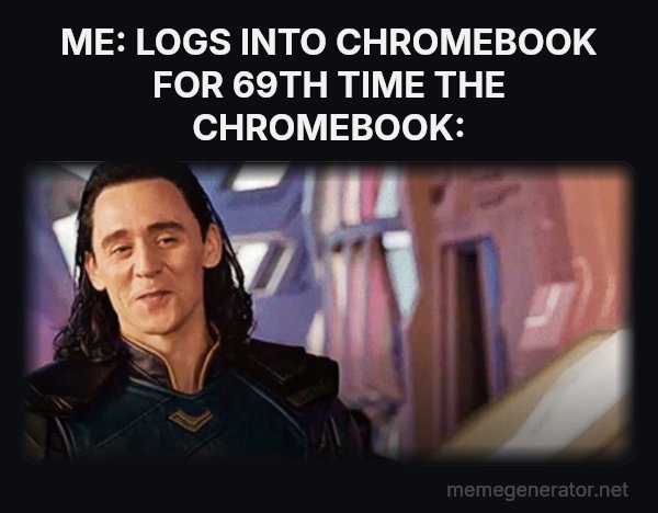 I've Never Met This Man in My Life meme: ME: LOGS INTO CHROMEBOOK FOR 69TH TIME
THE CHROMEBOOK:
