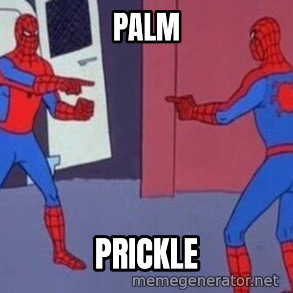 Spider-Man Pointing at Spider-Man meme: PALM / PRICKLE