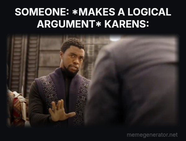We Don't Do That Here meme: SOMEONE: *MAKES A LOGICAL ARGUMENT*
KARENS: