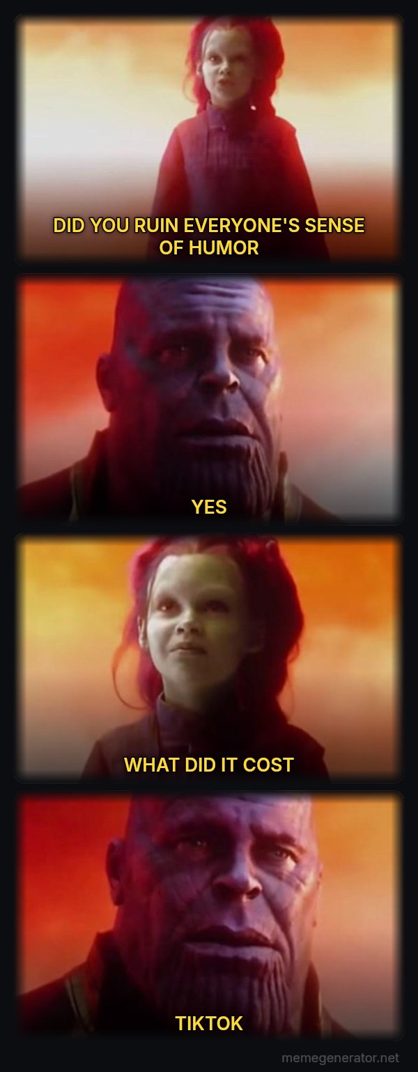 What Did It Cost? Everything meme: DID YOU RUIN EVERYONE'S SENSE OF HUMOR / YES / WHAT DID IT COST / TIKTOK