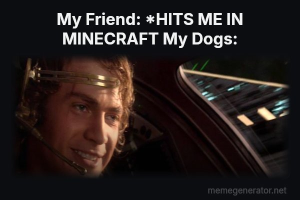 This Is Where the Fun Begins meme: My Friend: *HITS ME IN MINECRAFT
My Dogs:
