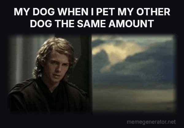 This Is Outrageous, It's Unfair! meme: MY DOG WHEN I PET MY OTHER DOG THE SAME AMOUNT