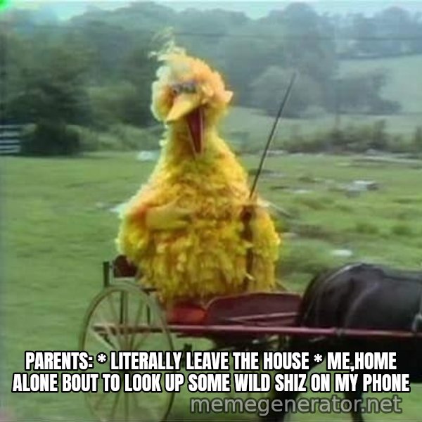 We Ride At Dawn meme: parents: * literally leave the house *
me,home alone bout to look up some wild shiz on my phone