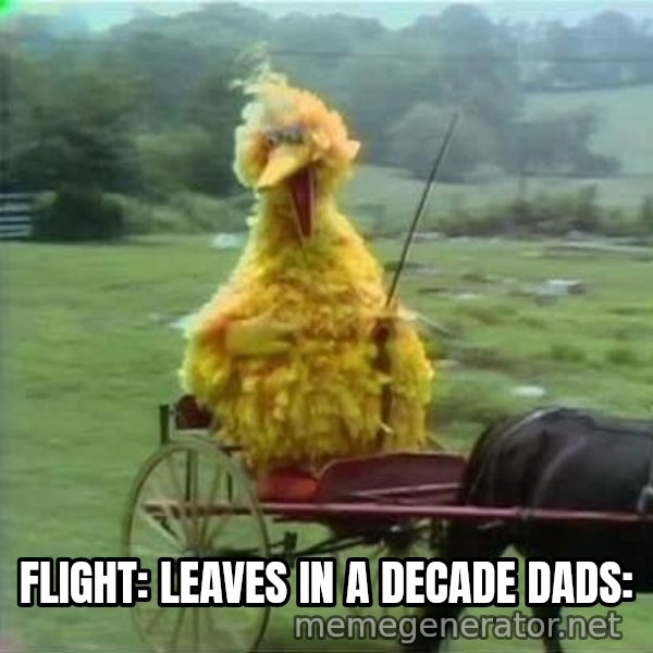We Ride At Dawn meme: FLIGHT: LEAVES IN A DECADE
DADS: